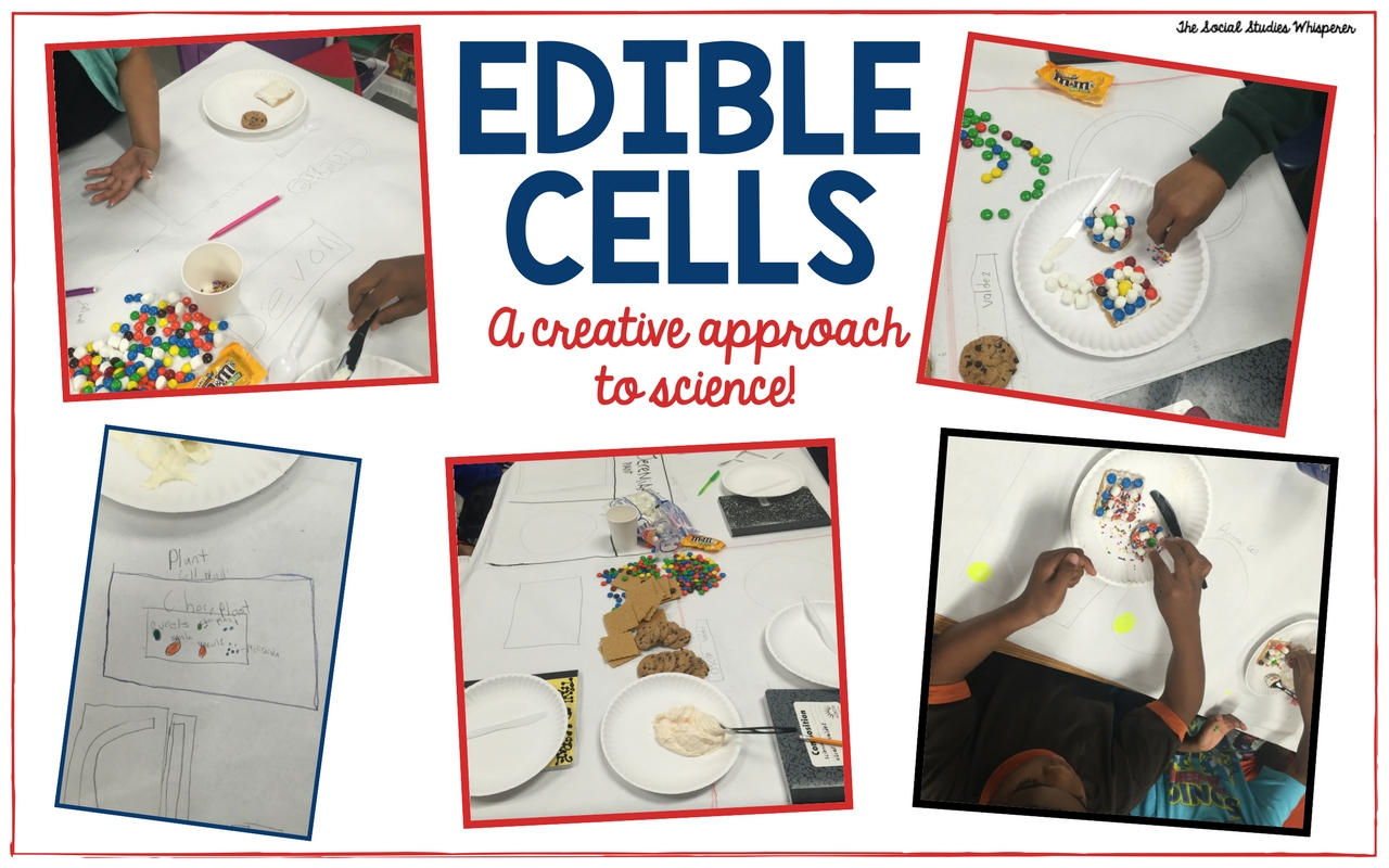 Making Science Creative With Edible Plant and Animal Cells